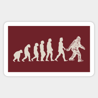 Evolution Sticker